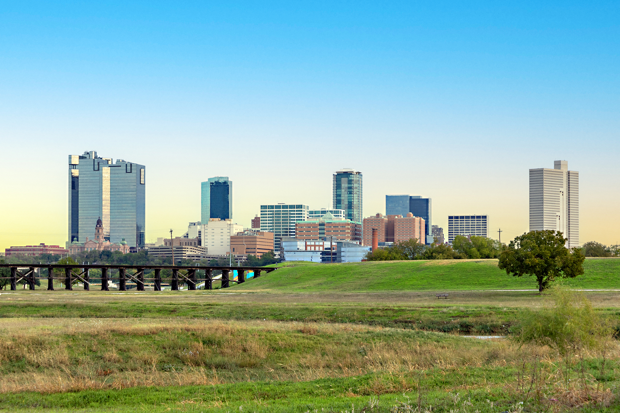 Turf services in Frisco, TX