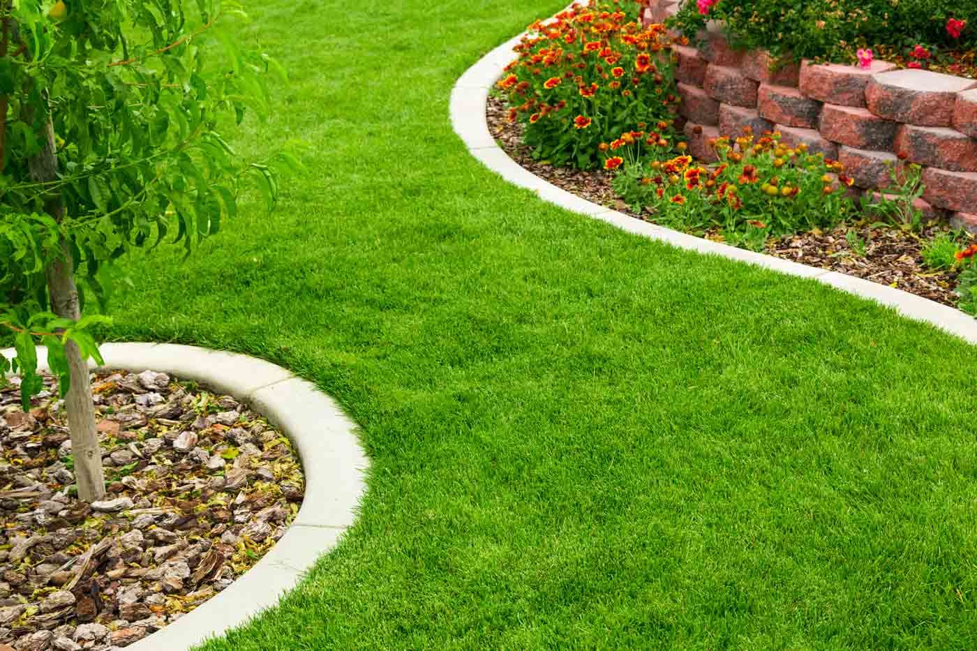 Artificial turf services in Plano