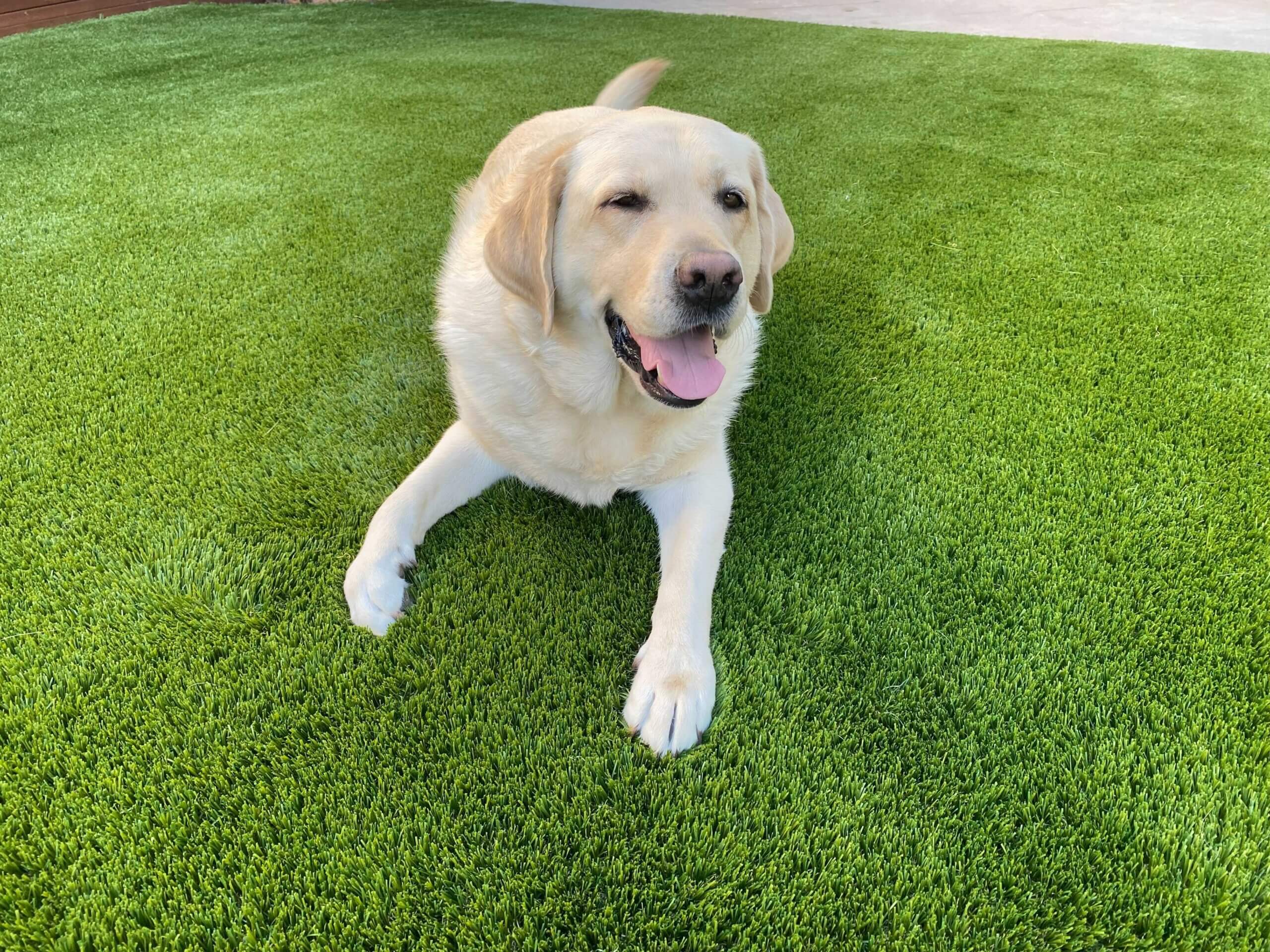 Turf Drainage Solutions